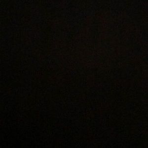 Meet your Posher, Latisha